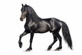 Black horse is standing on its hind legs and legs, with its front legs spread out. Generative AI
