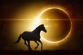 Black horse on total solar eclipse background Royalty Free Stock Photo