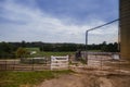 Black horse walking in the farm behind the fence. Fall village Royalty Free Stock Photo