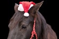 Black horse wearing santa hat