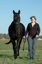 Black horse and woman Royalty Free Stock Photo