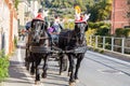 Black horses with carriage with funny Christmas hats, Italy