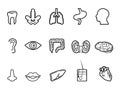 Black human anatomy outline icon