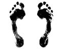 Black human footprint white background isolated closeup, barefoot person foot print pattern illustration, footstep silhouette mark Royalty Free Stock Photo