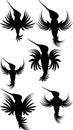 black hummingbird tattoo black ink pack collection illustration