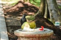 Black hungry crow sitting on the dust bin