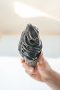 Black ice creame