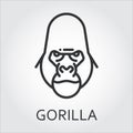 Black icon style line art, head wild animal ape, gorilla.