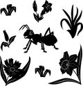 Black icons of ant, flowers, and grass. Vector illustration of an ant on the lawn Royalty Free Stock Photo