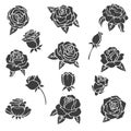 Black illustrations of roses. Vector silhouette of different plants Royalty Free Stock Photo