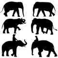 Black image outline elephant Asia walking, graphics design vector Illustration isolated