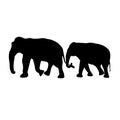 Black image outline two elephant Asia walking and trunk touch the tail, graphics design, vector Illustration