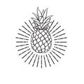 Image of pineapple fruit