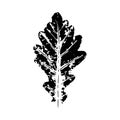 Black imprint of oak leaf