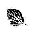 Black imprint of plantain leaf