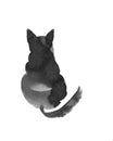 Black ink cat watercolor silhouette Royalty Free Stock Photo