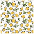 Black ink doodle hand drawn isolated lemon seamless pattern on white background.