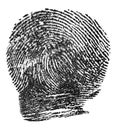 Black ink fingerprint isolated on white background. Police fingerprints. Imprint of index finger