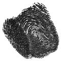 Black ink fingerprint on white paper. Isolated real fingerprint