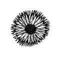 Black ink vector hand drawn sketch gerbera blossom Royalty Free Stock Photo