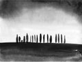 Black ink wash painting of trees in field on white background. Traditional Japanese ink painting sumi-e.