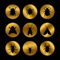 Black insects silhouette on golden rounds Royalty Free Stock Photo