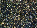 Black iridescent sequins with fish scale look