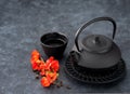 Black iron asian style teapot and cup green tea Royalty Free Stock Photo