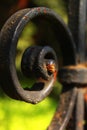 Black iron fence detail