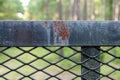 Black Iron Fence in the Forest Royalty Free Stock Photo