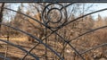 Black iron fence over looking the park, Oshawa, Ontario