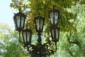 black iron pillar with old lanterns among green leaves and tree branches