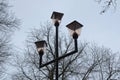 Black pole with three lamps lanterns on a background of gray branches and the sky