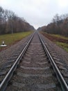Black iron rails background. Autumn landscape. Railway backdrop