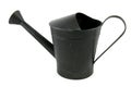 Black iron watering can Royalty Free Stock Photo