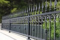 Black iron wrought fence of a park with ornate design.