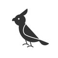 Black isolated icon of parrot on white background. Silhouette of bird. Royalty Free Stock Photo