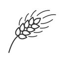 Black isolated outline icon of ear of wheat on white background. Line Icon of ear of wheat. Royalty Free Stock Photo
