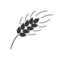 Black isolated silhouette of ear of wheat on white background. Icon of ear of wheat. Royalty Free Stock Photo