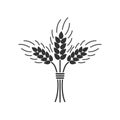 Black isolated silhouette icon of sheaf of wheat on white background. Icon of sheaf of wheat. Royalty Free Stock Photo