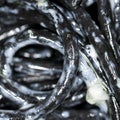 Black Italian spaghetti  pasta with blue cheese with mold and olive oil. Macro. Royalty Free Stock Photo