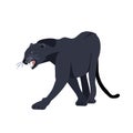 Black Jaguar Puma Lion panther. Vector illustration Royalty Free Stock Photo