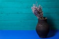 black jug with lavender flowers on a blue background Royalty Free Stock Photo