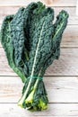 black kale, Italian kale, Tuscan kale, lacinato from organic farming Royalty Free Stock Photo