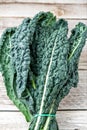 black kale, Italian kale, Tuscan kale, lacinato from organic farming Royalty Free Stock Photo