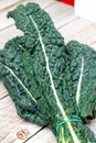 black kale, Italian kale, Tuscan kale, lacinato from organic farming Royalty Free Stock Photo