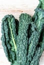 black kale, Italian kale, Tuscan kale, lacinato from organic farming Royalty Free Stock Photo