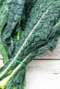 black kale, Italian kale, Tuscan kale, lacinato from organic farming Royalty Free Stock Photo