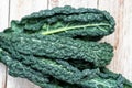 black kale, Italian kale, Tuscan kale, lacinato from organic farming Royalty Free Stock Photo