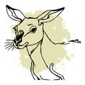 Black kangaroo on a white background. Animals line art. Logo design for use in graphics. Print for T-shirts, design for tattoos